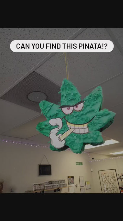 MODEL420: CANNA HUNT