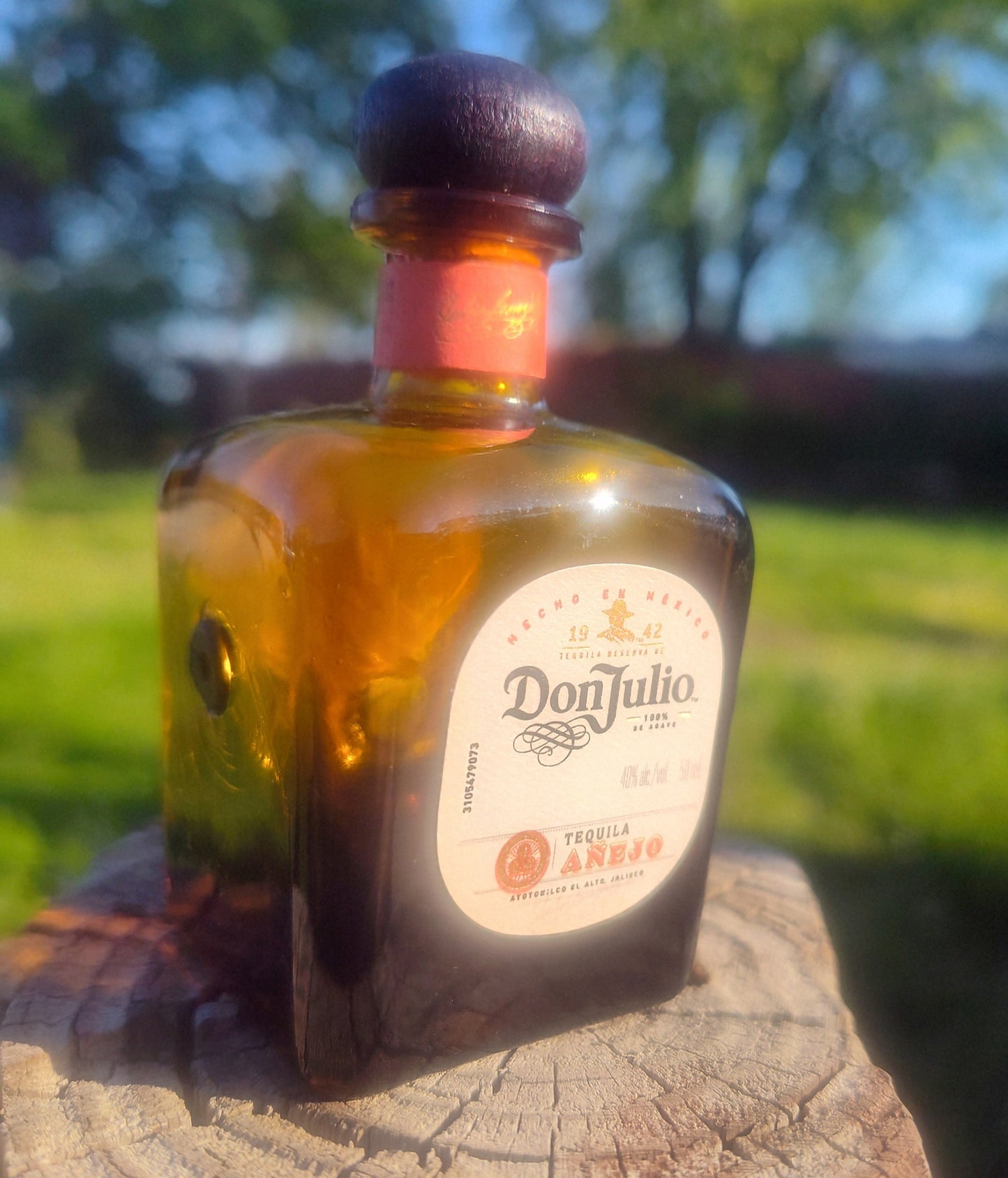 MODEL420: CANNA HUNT