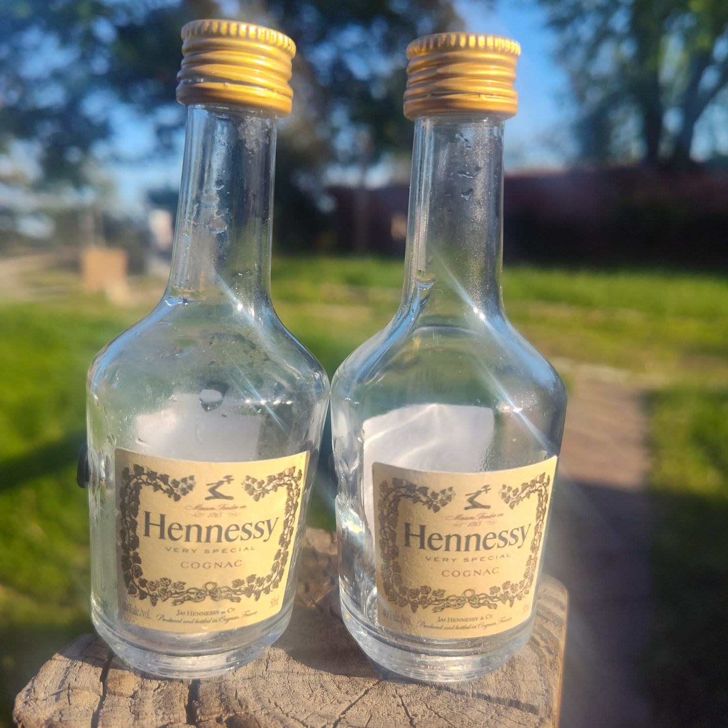 MODEL420: CANNA HUNT